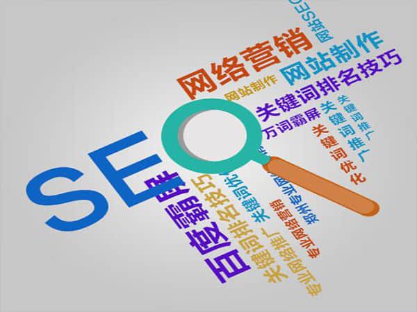 东丽如何选择一家的专业SEO公司